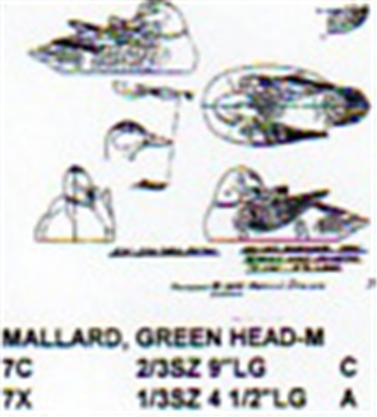 Green Head Mallard Male On Water Preening  showing the full size Stiller pattern.