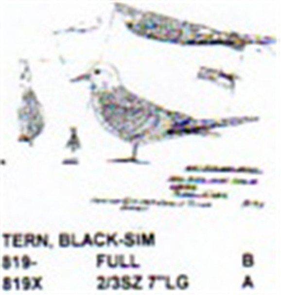Black Tern Standing 2/3 Size