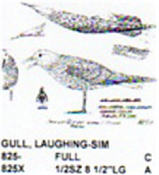 Laughing Gull Standing-Calling 1/2 Size