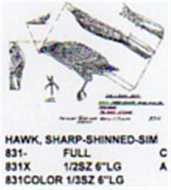 Sharp Shinned Hawk Perching Carving Pattern showing the top, side, and front profile of this hawk.