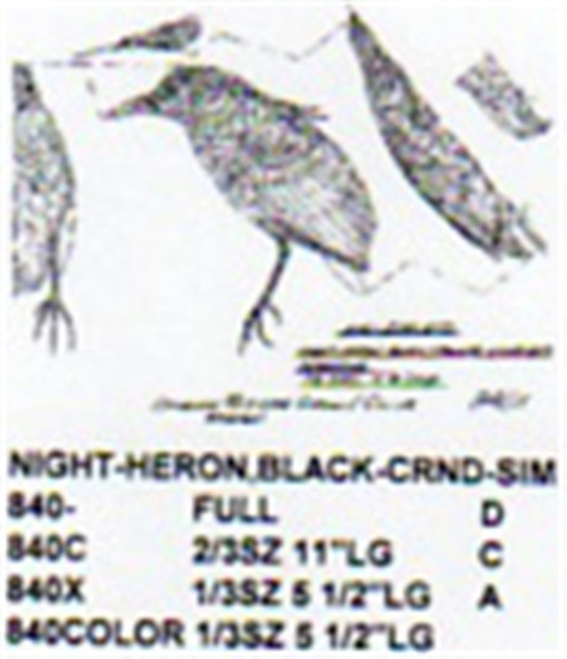 Black Crowned Night Heron Perching 1/3 Size