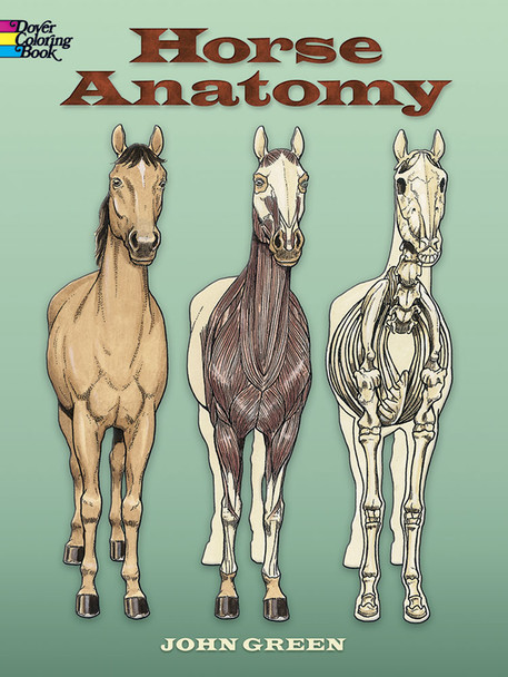 Horse Anatomy  Coloring Book showing three horses standing.