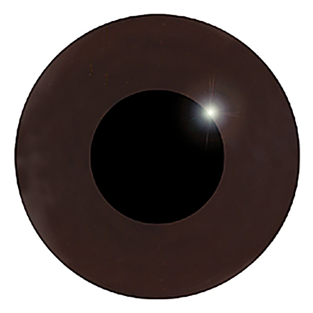 A straight on view of the front of a dark brown glass eye showing the black pupil.