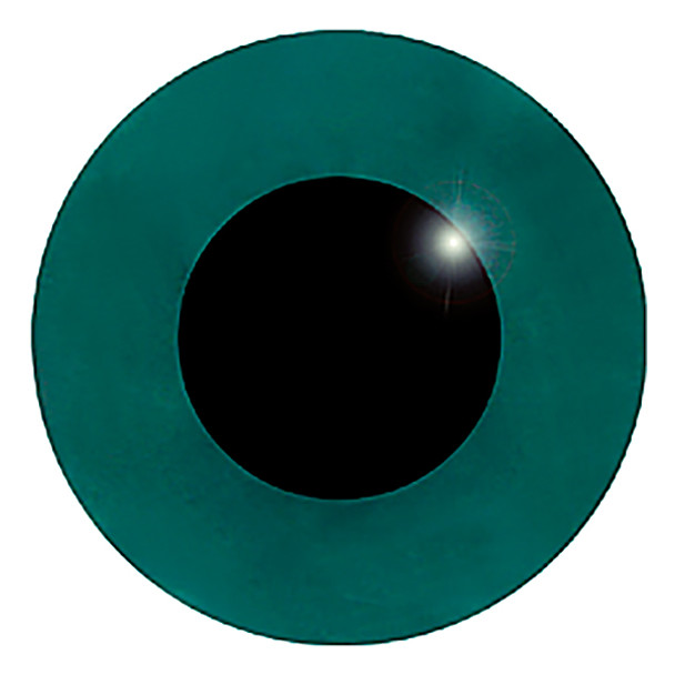 A straight on view of the front of a green glass eye showing the black pupil.