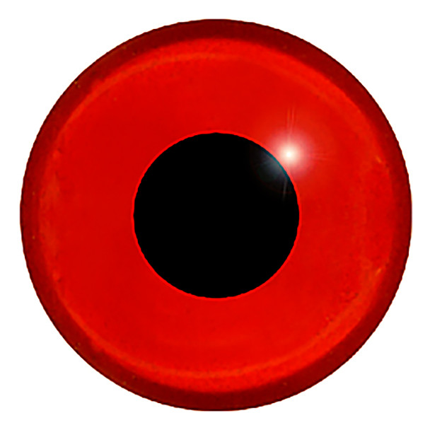 A straight on view of the front of a red glass eye showing the black pupil.