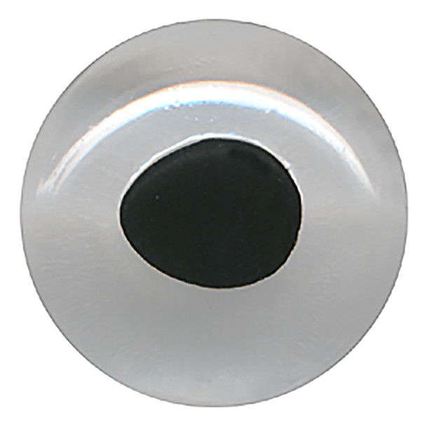 A straight forward view of a clear fish eye with a black aspheric pupil.