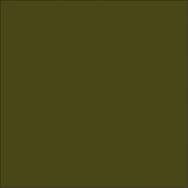 A sample swatch of the pine green paint.