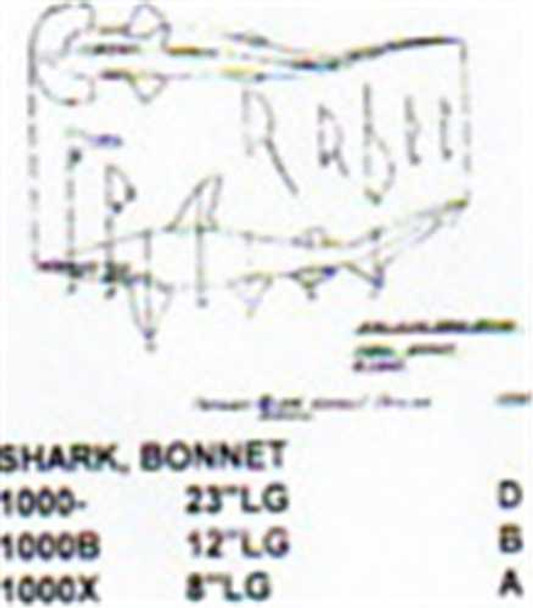 Bonnet Shark Mouth Closed 12" Long Saltwater Fish