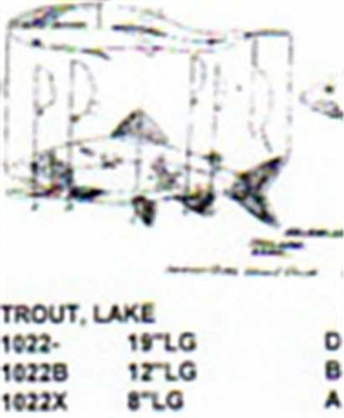 Lake Trout Mouth Open-Mouth Closed 19" Long Freshwater Fish