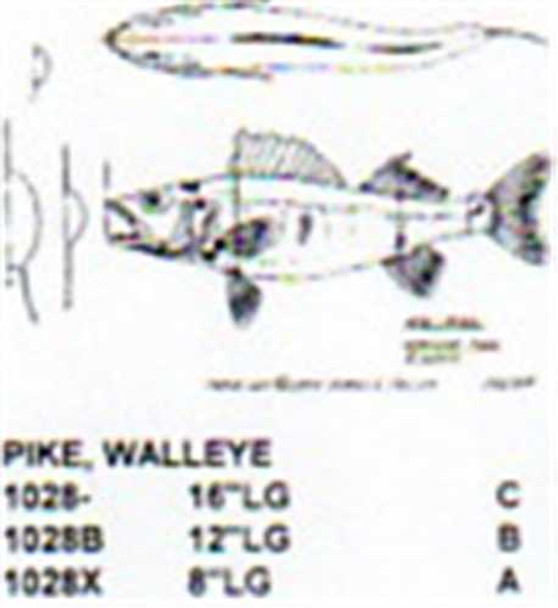 Walleye Pike Mouth Open 16" Long Freshwater Fish