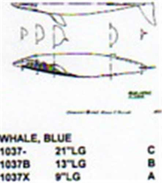 Blue Whale Mouth Closed 21" Long Saltwater Fish