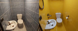 Klantproject | Toilet make-over met een opvallende kleur