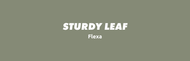 Sturdy Leaf van Flexa: een stoere groentint met karakter