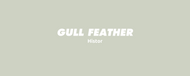 Gull Feather - Histor