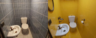 Klantproject | Toilet make-over met een opvallende kleur
