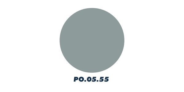 PO.05.55