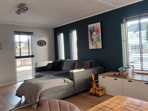 donkere blauwgroene woonkamer