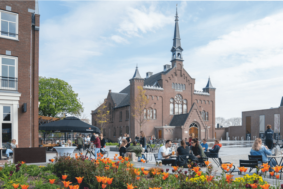 Schilderwerk en woningen in Hoogeveen