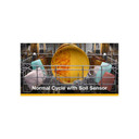 Whirlpool® 24” Stainless Steel Dishwasher with AI Intelligent Wash - 47 dBA WDT750SAKW