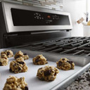 Maytag® 30-INCH WIDE DOUBLE OVEN GAS RANGE WITH TRUE CONVECTION - 6.0 CU. FT. MGT8800FZ