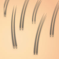 Damaged, exhausted hair