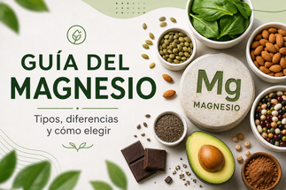 Magnesio: tipos, beneficios y cuál elegir
