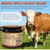 Tallow Honey Balm sebo de res | Gogiftgo | 120 g