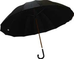 Large Umbrella 