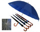 Large Umbrella 