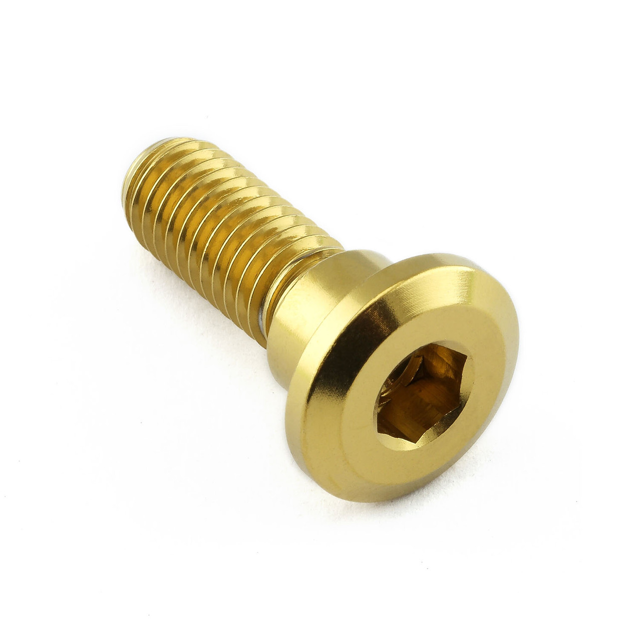 Stainless Steel Disc Bolt To Fit Honda M8x24mm | Pro-Bolt