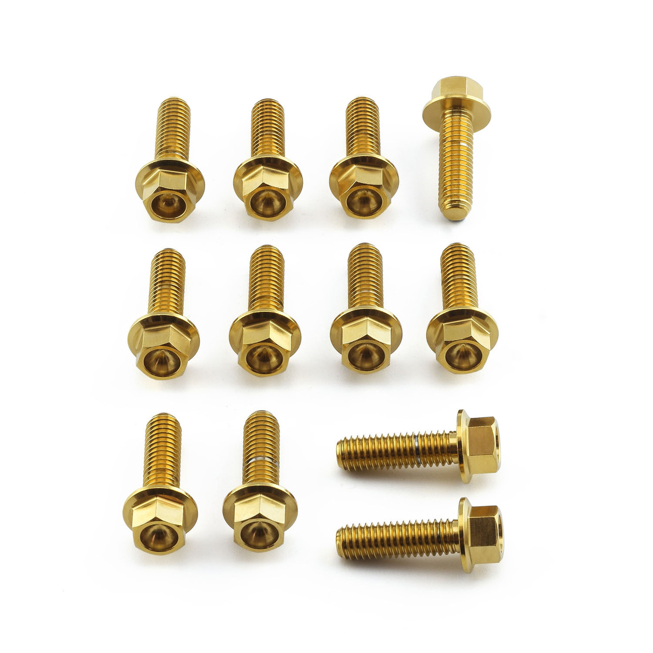 Stainless Steel Disc Bolt Flanged Hex M6 x 20mm Front Pack x12