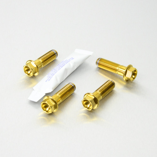 Stainless Steel Front Brake Mounting Bolt Kit | Pro-Bolt