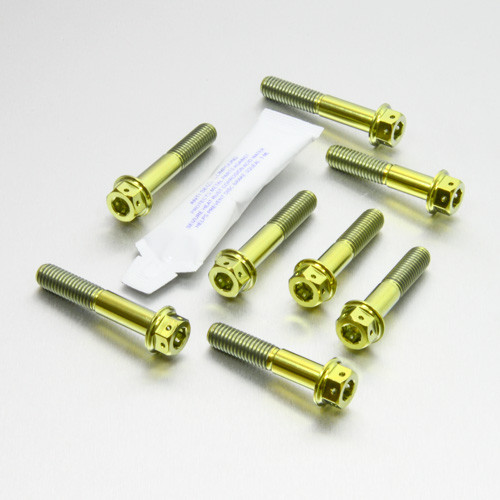 Titanium Front Caliper Pinch Bolt Kit DualDrive | Pro-Bolt