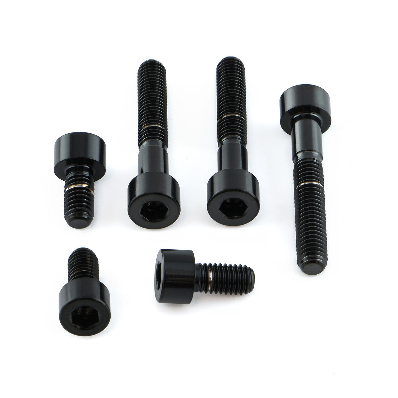 Stainless Steel Fuel Cap Kit Triumph Tiger/other | Pro-Bolt