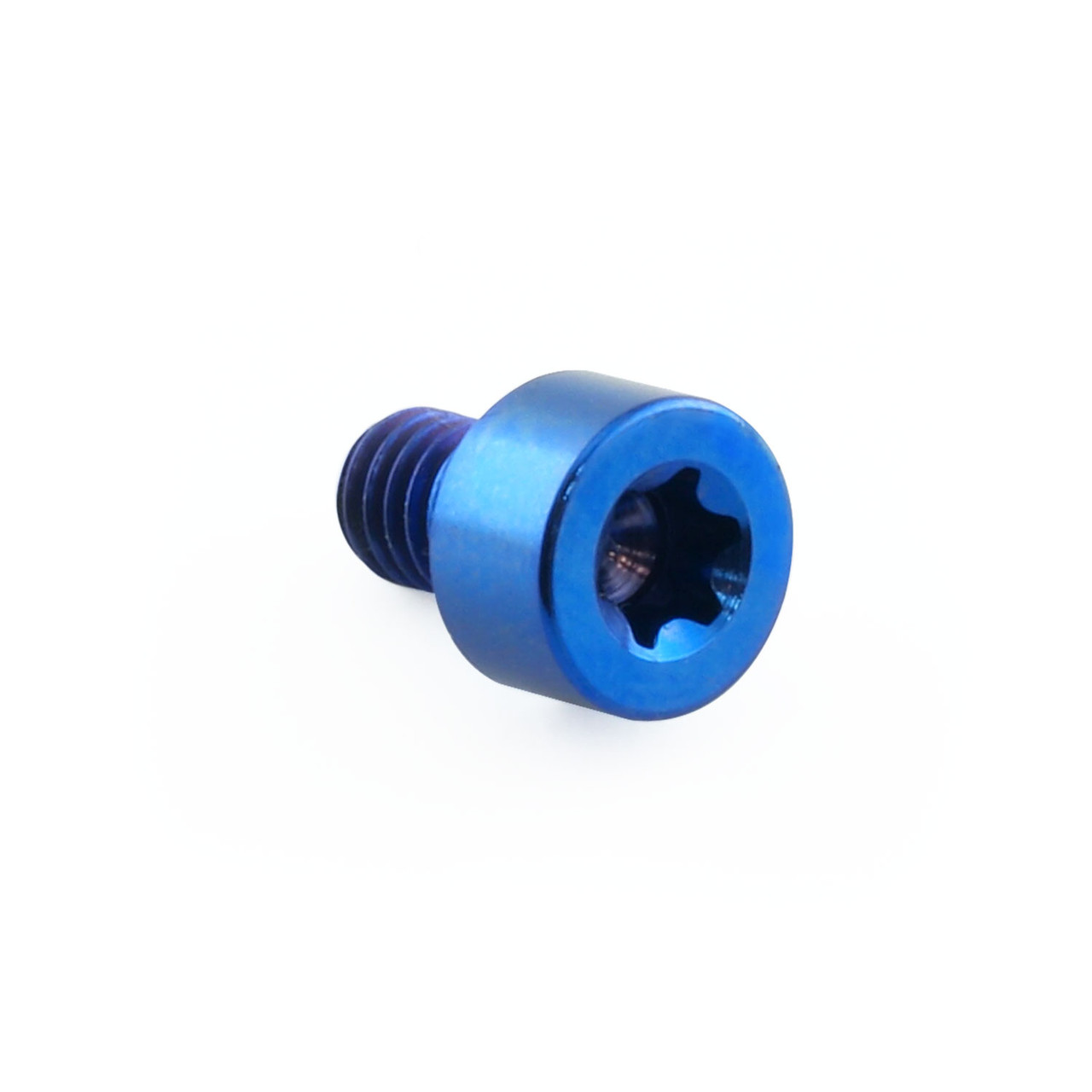 Titanium Parallel Head Socket Cap Bolt M4x(0.70mm)x6mm T20 Torx