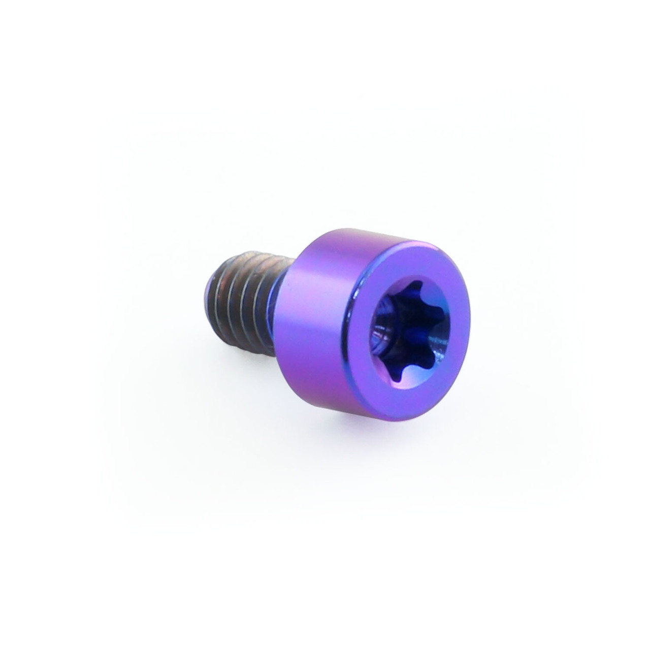 Titanium Parallel Head Socket Cap Bolt M4x(0.70mm)x6mm T20 Torx