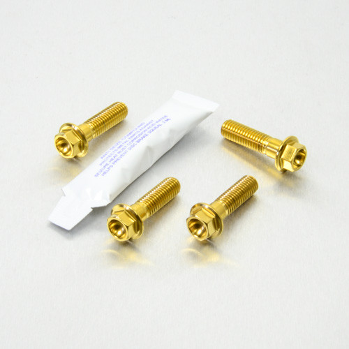 Stainless Steel Pillion Footrest Hanger Bolt Kit | Pro-Bolt