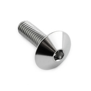 Titanium Dome Head Bolt M6x(1.00mm)x20mm Titanium Dome Head Bolt M6x(1.00mm)x20mm