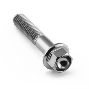 Titanium Flanged Hex Head Bolt M5x(0.80mm)x25mm Titanium Flanged Hex Head Bolt M5x(0.80mm)x25mm