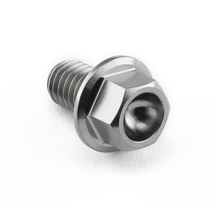 Titanium Flanged Hex Head Bolt M6x(1.00mm)x10mm Titanium Flanged Hex Head Bolt M6x(1.00mm)x10mm