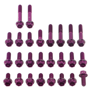 Aluminium Engine Kit Aprilia RSV4 Factory 1100 Race Spec Etched Purple