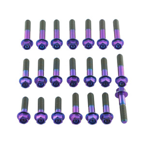 Titanium Engine Kit BMW S1000RR Flanged Hex Purple Haze Titanium Engine Kit BMW S1000RR Flanged Hex Purple Haze