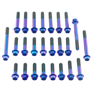 Titanium Engine Kit Kawasaki ZRX1100 Flanged Hex Purple Haze Titanium Engine Kit Kawasaki ZRX1100 Flanged Hex Purple Haze