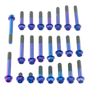 Titanium Engine Kit Yamaha YBR125 Flanged Hex Purple Haze Titanium Engine Kit Yamaha YBR125 Flanged Hex Purple Haze