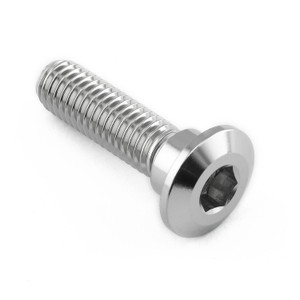 Stainless Steel Disc Bolt To Fit Kawasaki/Suzuki M8x30mm Stainless Steel Disc Bolt To Fit Kawasaki/Suzuki M8x30mm