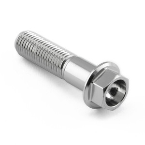 Stainless Steel Flanged Hex Head Bolt M10x(1.25mm)x40mm Stainless Steel Flanged Hex Head Bolt M10x(1.25mm)x40mm