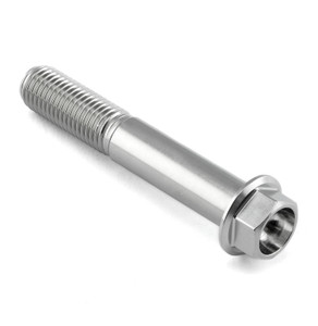 Stainless Steel Flanged Hex Head Bolt M10x(1.25mm)x60mm Stainless Steel Flanged Hex Head Bolt M10x(1.25mm)x60mm