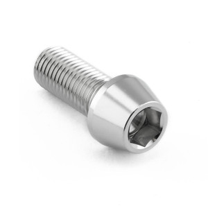 Stainless Steel Socket Cap Bolt M10x(1.25mm)x25mm Stainless Steel Socket Cap Bolt M10x(1.25mm)x25mm