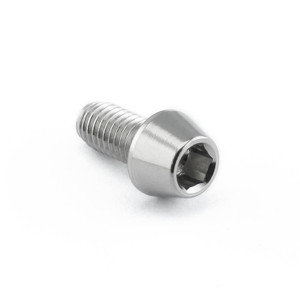 Stainless Steel Socket Cap Bolt M5x(0.80mm)x10mm Stainless Steel Socket Cap Bolt M5x(0.80mm)x10mm