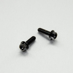 Stainless Steel Rear Brake Master Cylinder Bolts Hex Black
